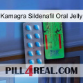 Kamagra Sildenafil Oral Jelly new03